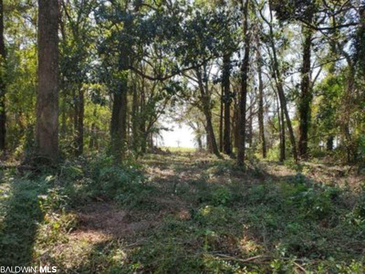6640 Winding Brook Drive - Photo 1