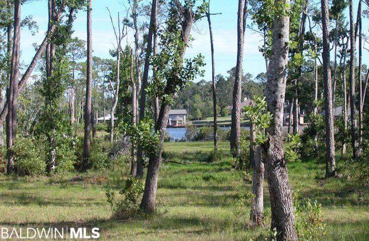 0 County Road 97 - Photo 1