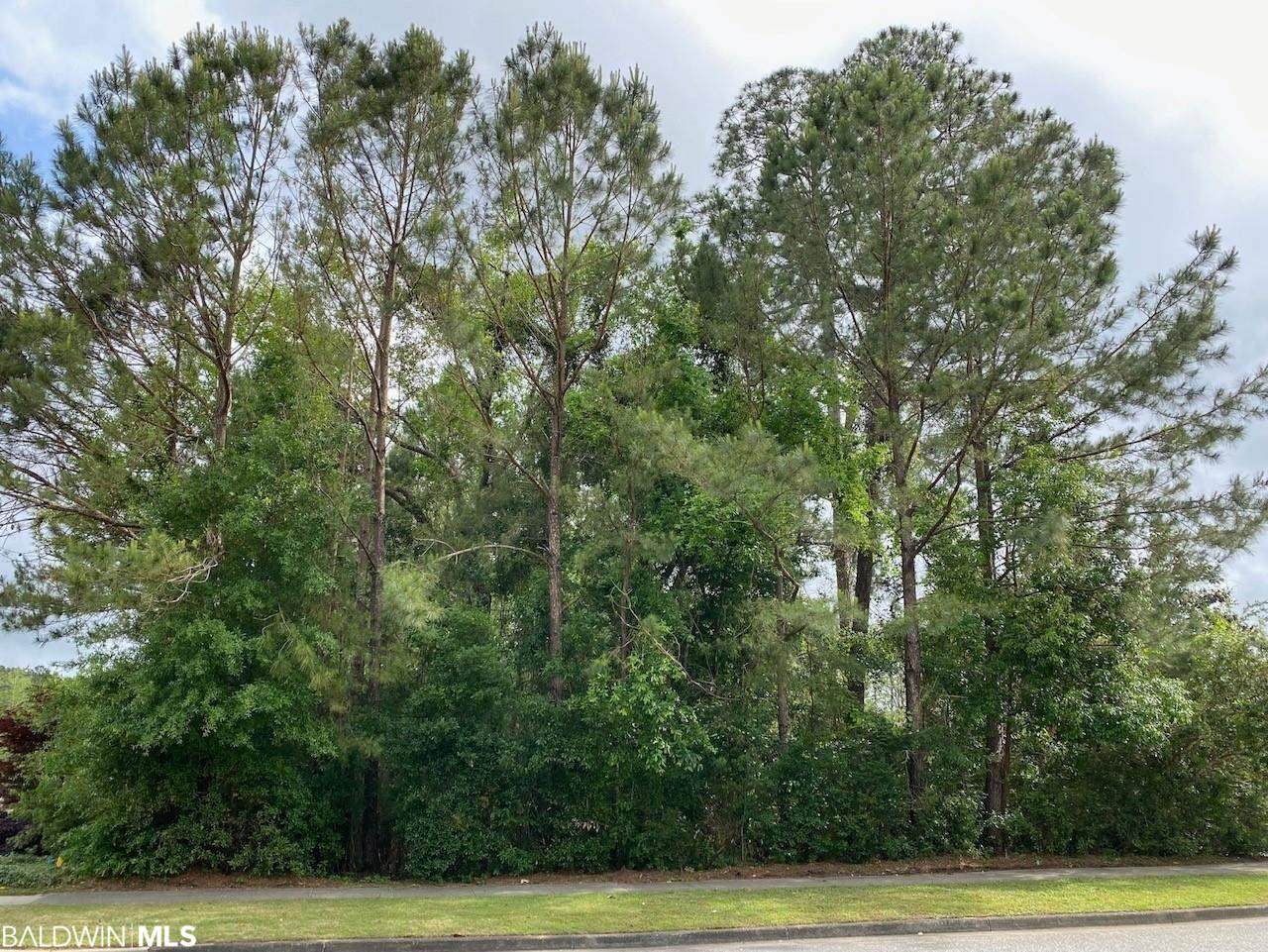 8447 Pine Run - Photo 1
