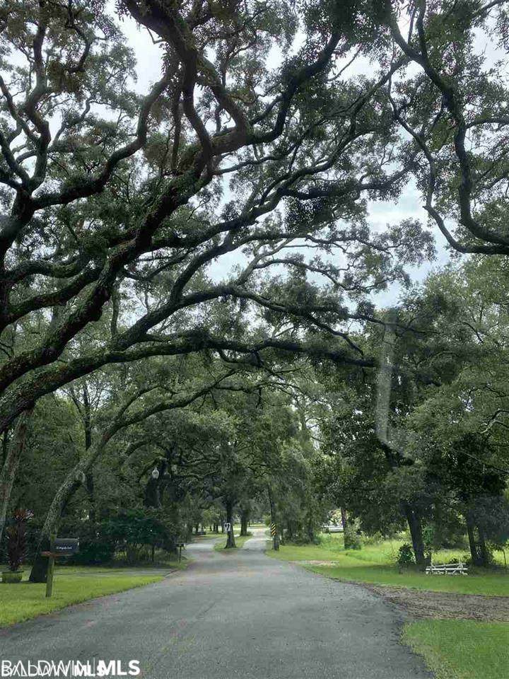 0 Magnolia Drive - Photo 1