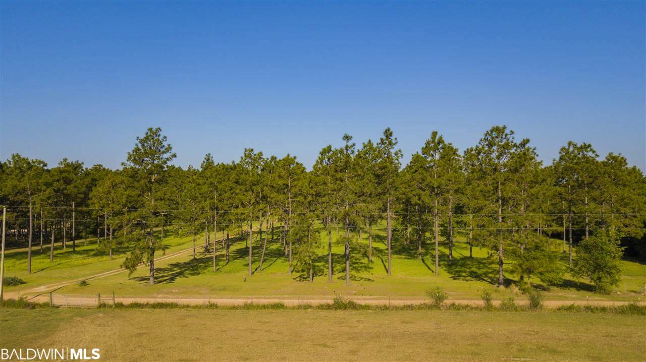 28685 Rose Run Rd - Photo 1