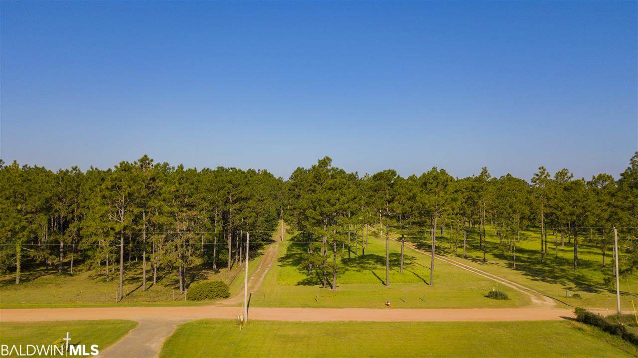 28645 Rose Run Rd - Photo 1