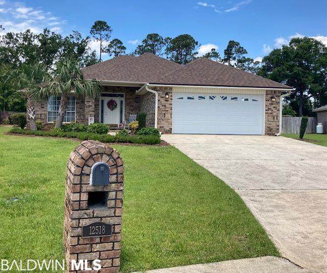 12518 White Osprey Dr - Photo 1