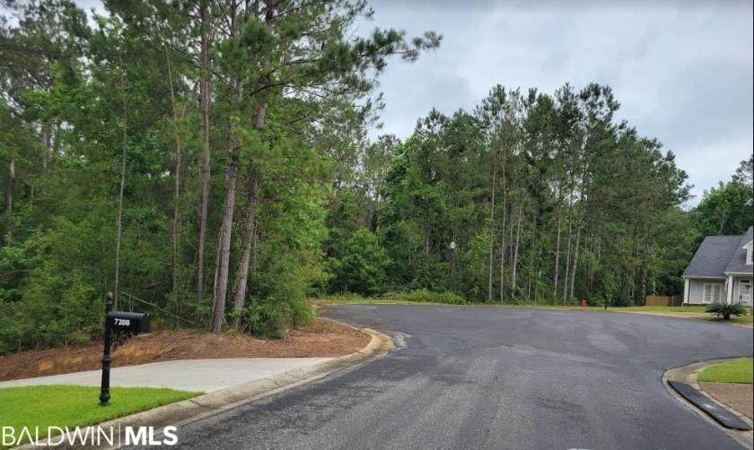 0 Wilkins Creek Court - Photo 1