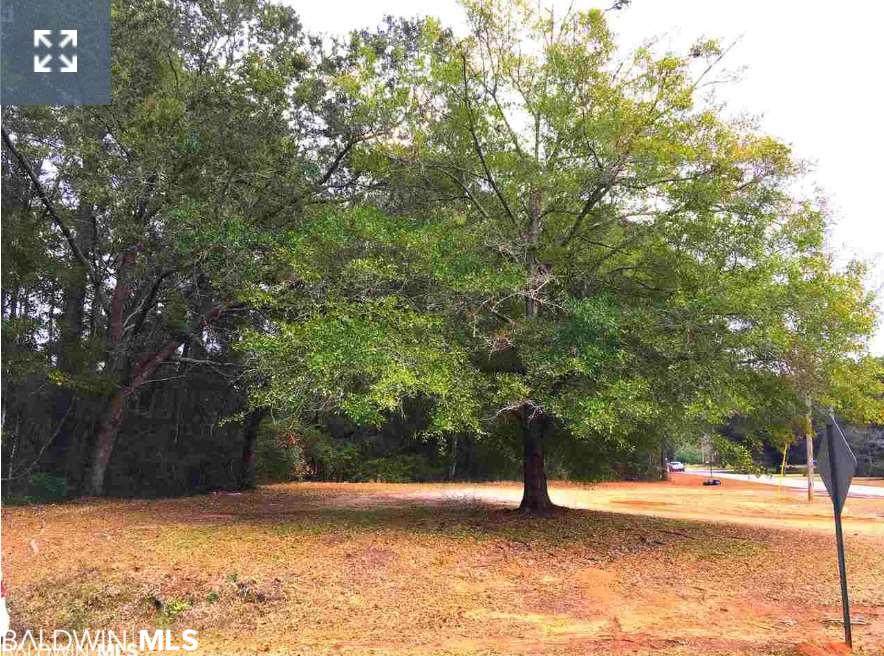 0 Park Drive - Photo 1