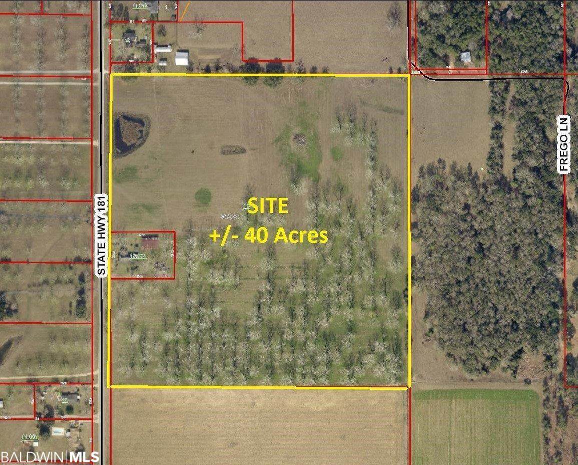 14624 Highway 181 - Photo 1