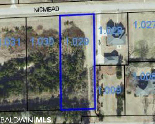0 Mcmead Drive - Photo 1