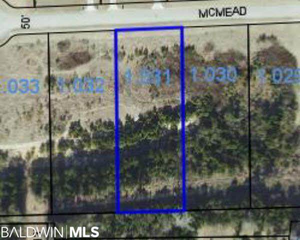 0 Mcmead Drive - Photo 1
