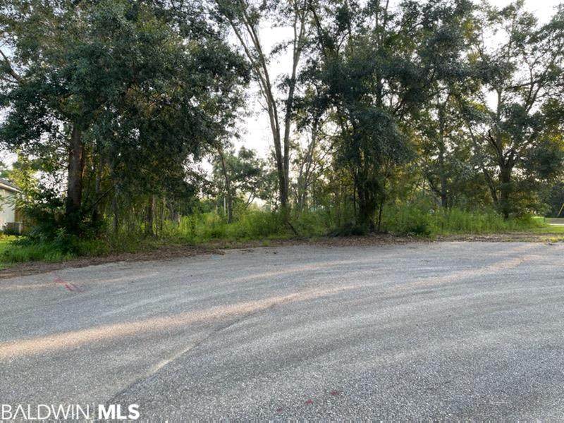 0 Warrie Creek Alley - Photo 1