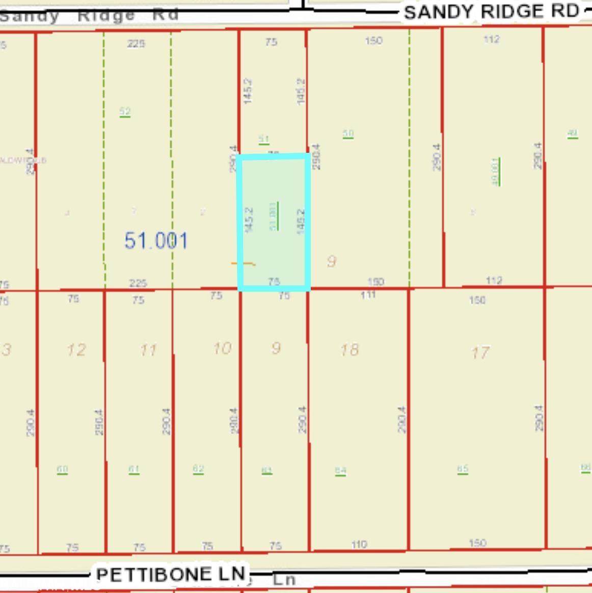 17252 Sandy Ridge Road - Photo 1