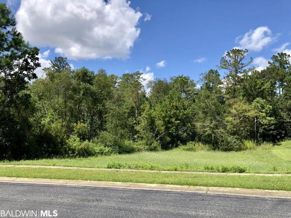 32947 Boardwalk Drive - Photo 1