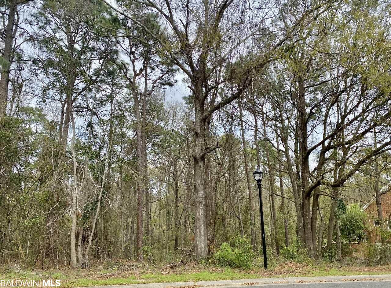 0 Longleaf Cir - Photo 1