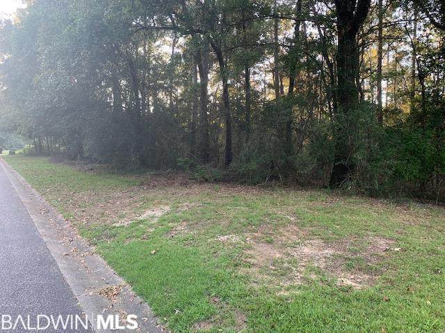 0 Blakeley Oaks Drive - Photo 1