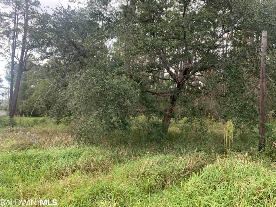 23650 Miflin Rd - Photo 1