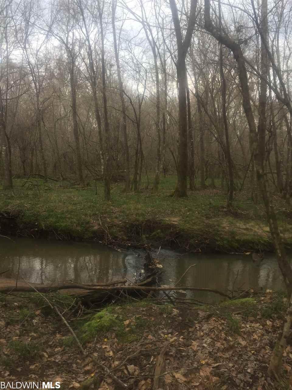 0 W Hwy 84 - Photo 1