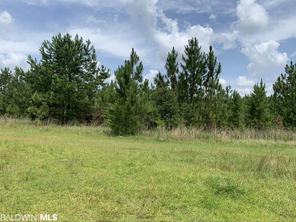0 Box Rd - Photo 1
