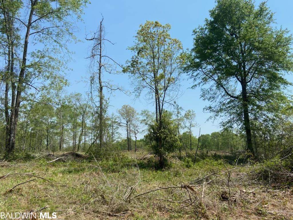 0 Hampton Rd - Photo 1