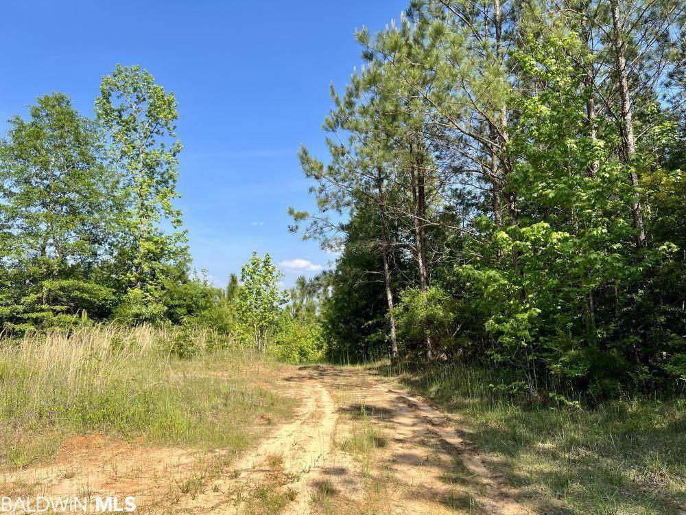 0 Country Road - Photo 1