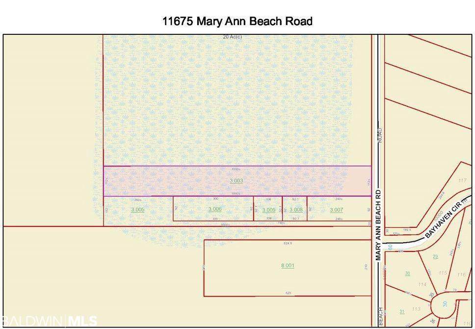 11675 Mary Ann Beach Road - Photo 1