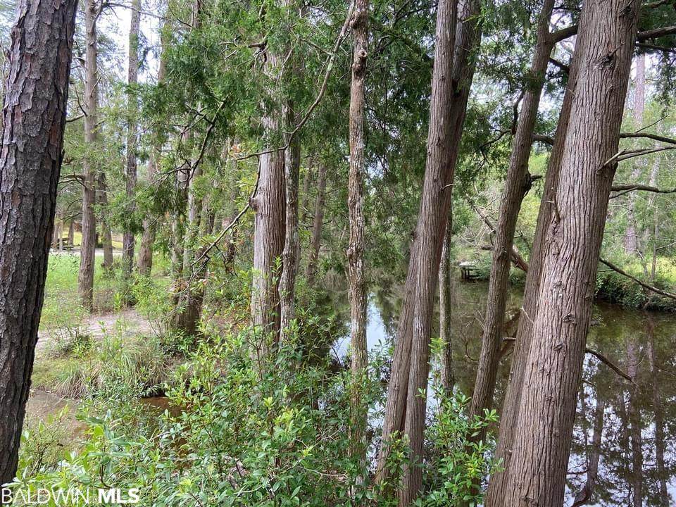 0 Woodland Drive - Photo 1