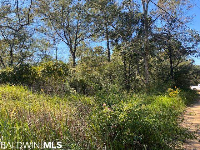0 Timber Woods Court - Photo 1
