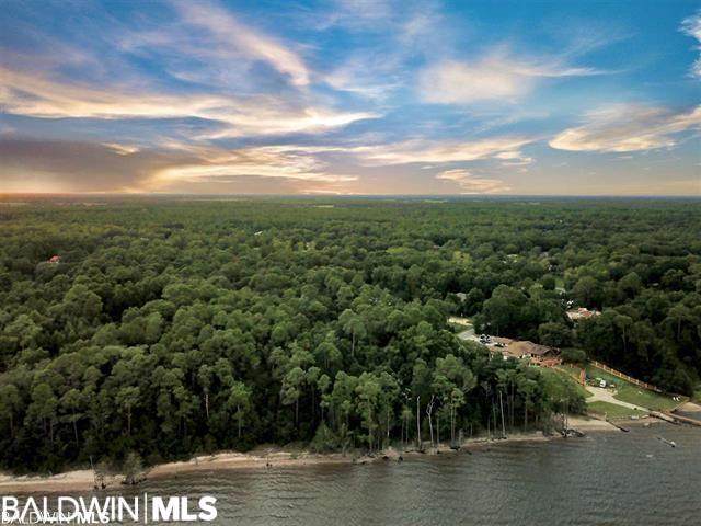 10346 County Road 99 - Photo 1