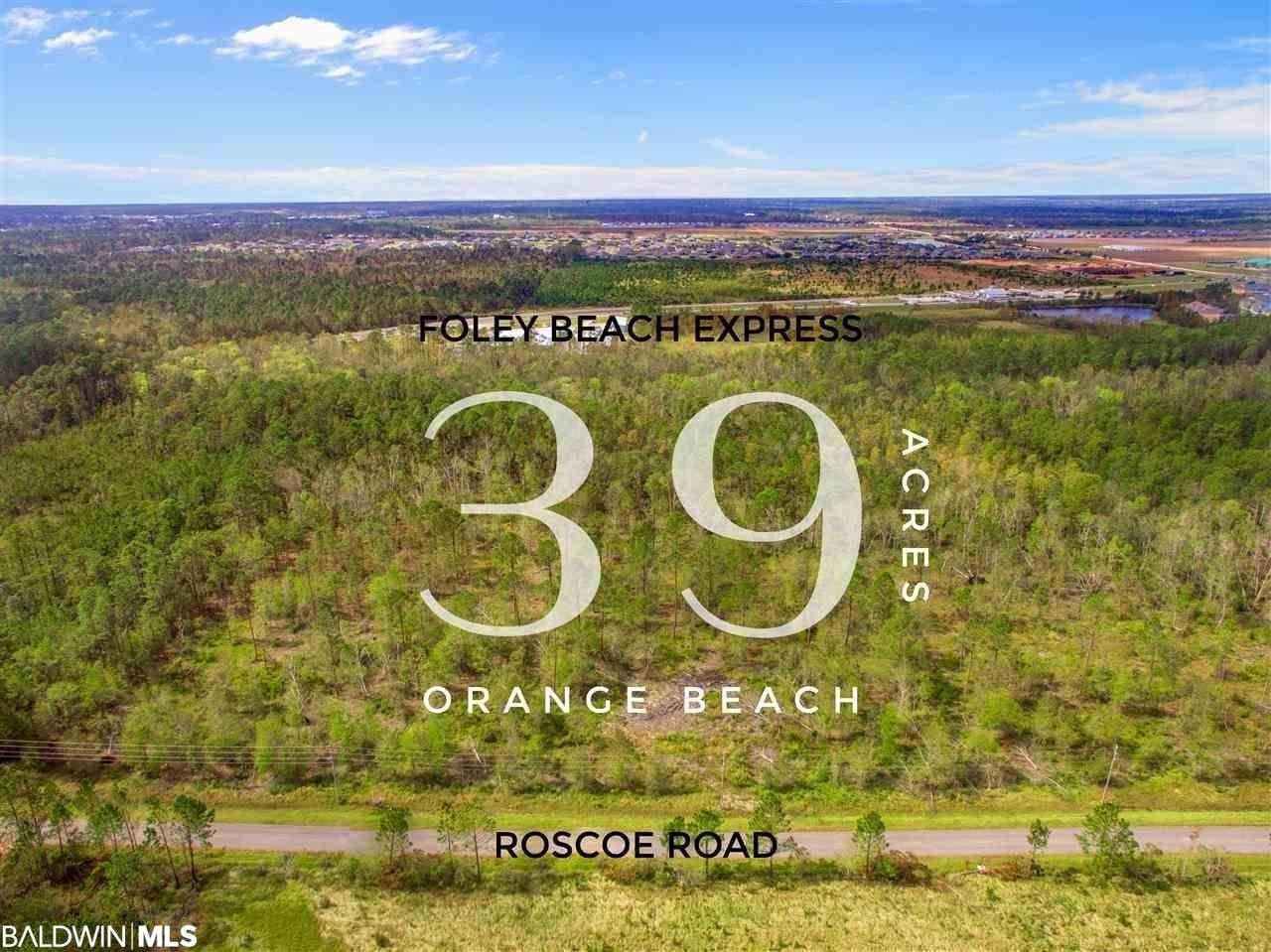 00 Roscoe Rd - Photo 1
