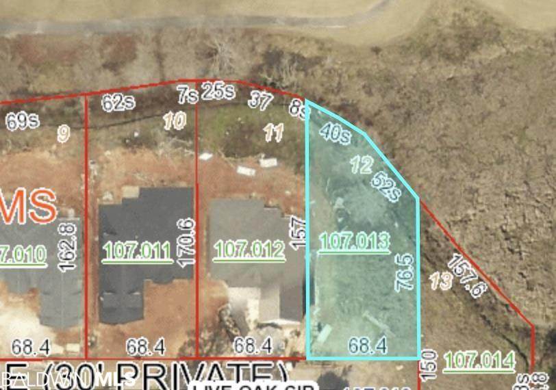 21153 Live Oak Circle - Photo 1