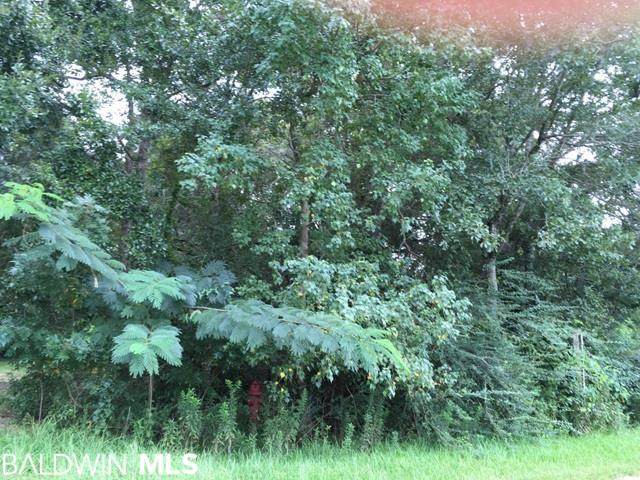 26702 County Road 54 - Photo 1