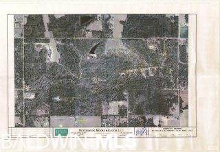 12960 County Road 48 - Photo 1