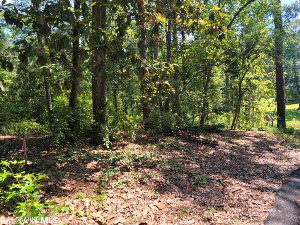 175 Greenwood Drive - Photo 1