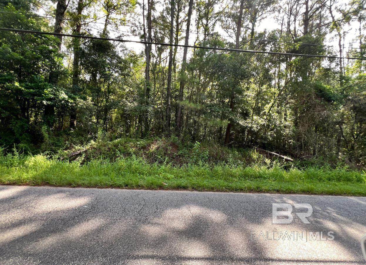 2420 Anton Street - Photo 1