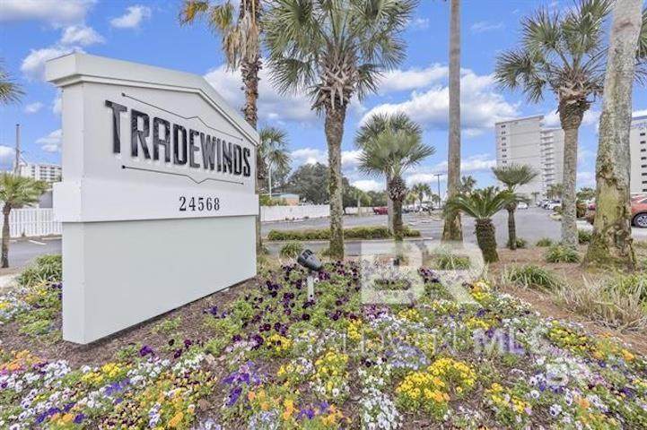 24568 Perdido Beach Boulevard - Photo 1