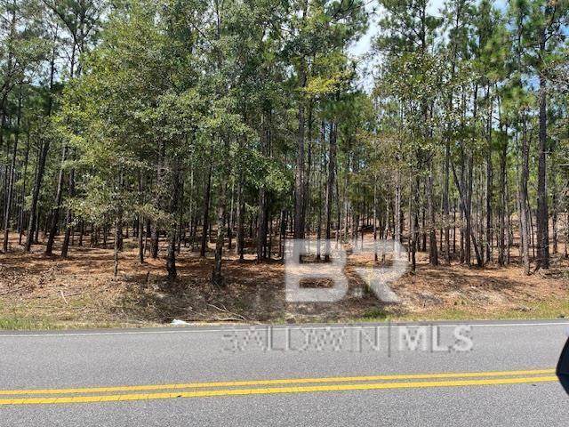 0 State Highway 225 - Photo 1