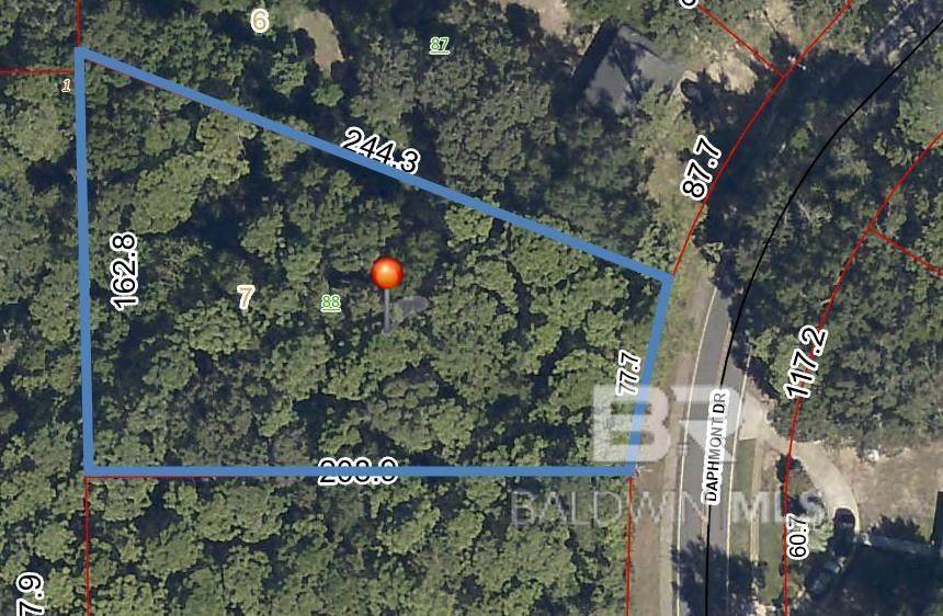 711 Daphmont Drive - Photo 1