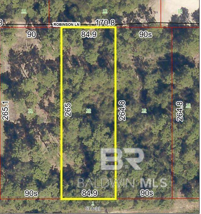 0 Robinson Lane - Photo 1