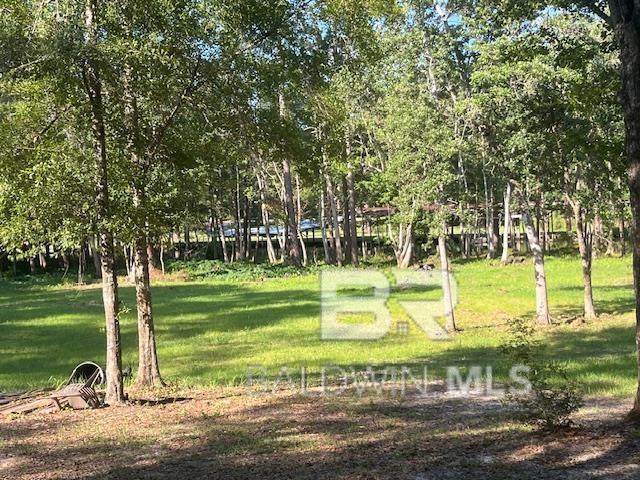 9900 Clarke Ridge Road - Photo 1