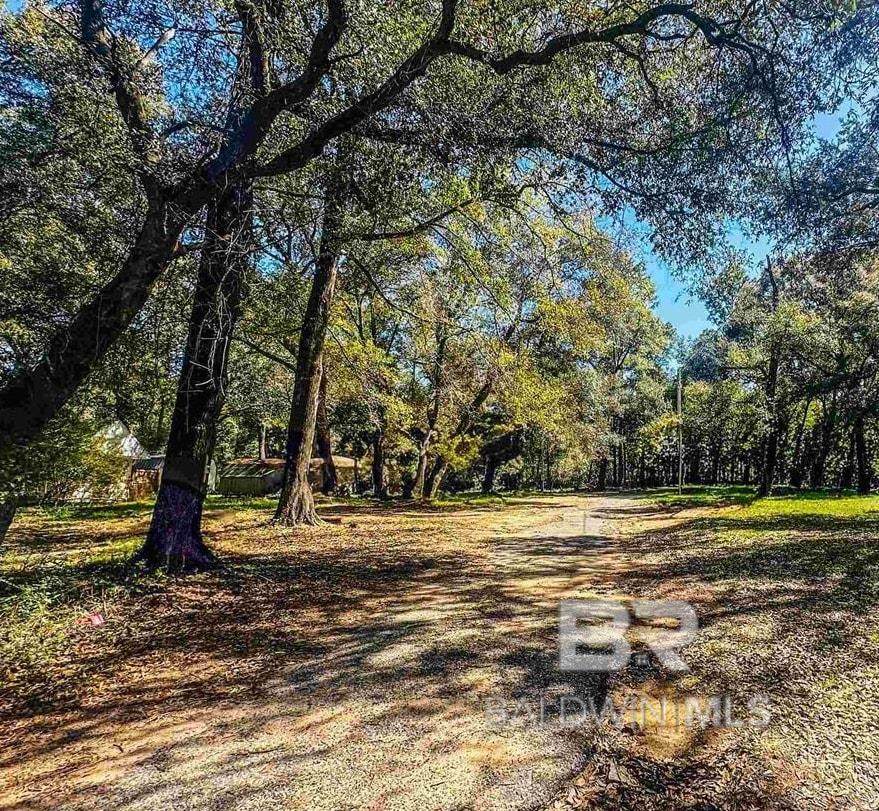 15686A County Road 9 - Photo 1