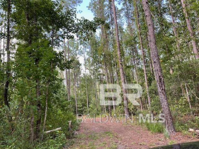 0 Highway 29 - Photo 1