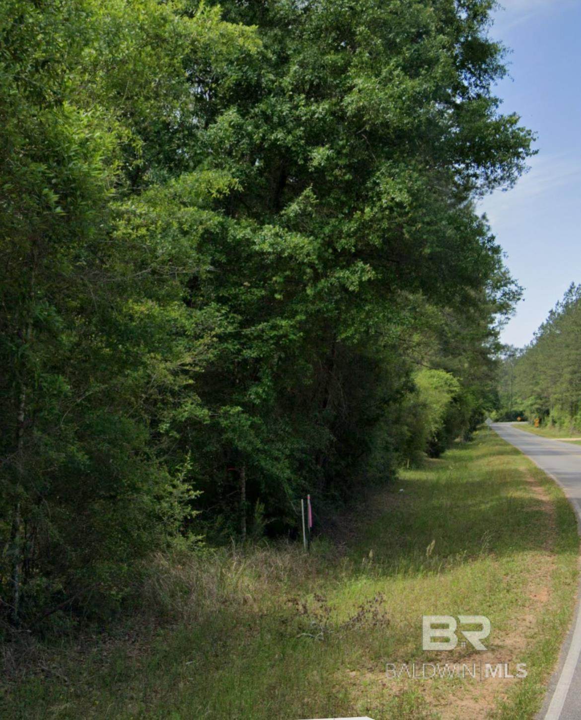 0 Byrnes Lake Road - Photo 1