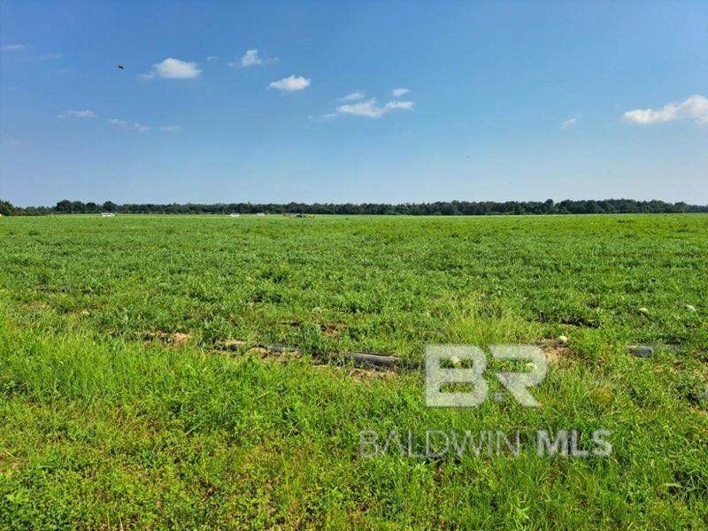 0 Jesse Allen Road - Photo 1