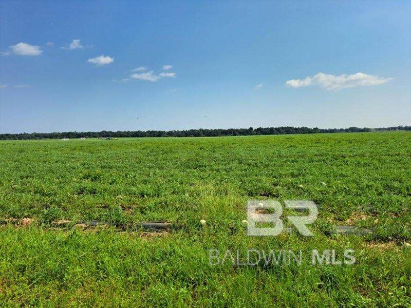 0 Jesse Allen Road - Photo 1