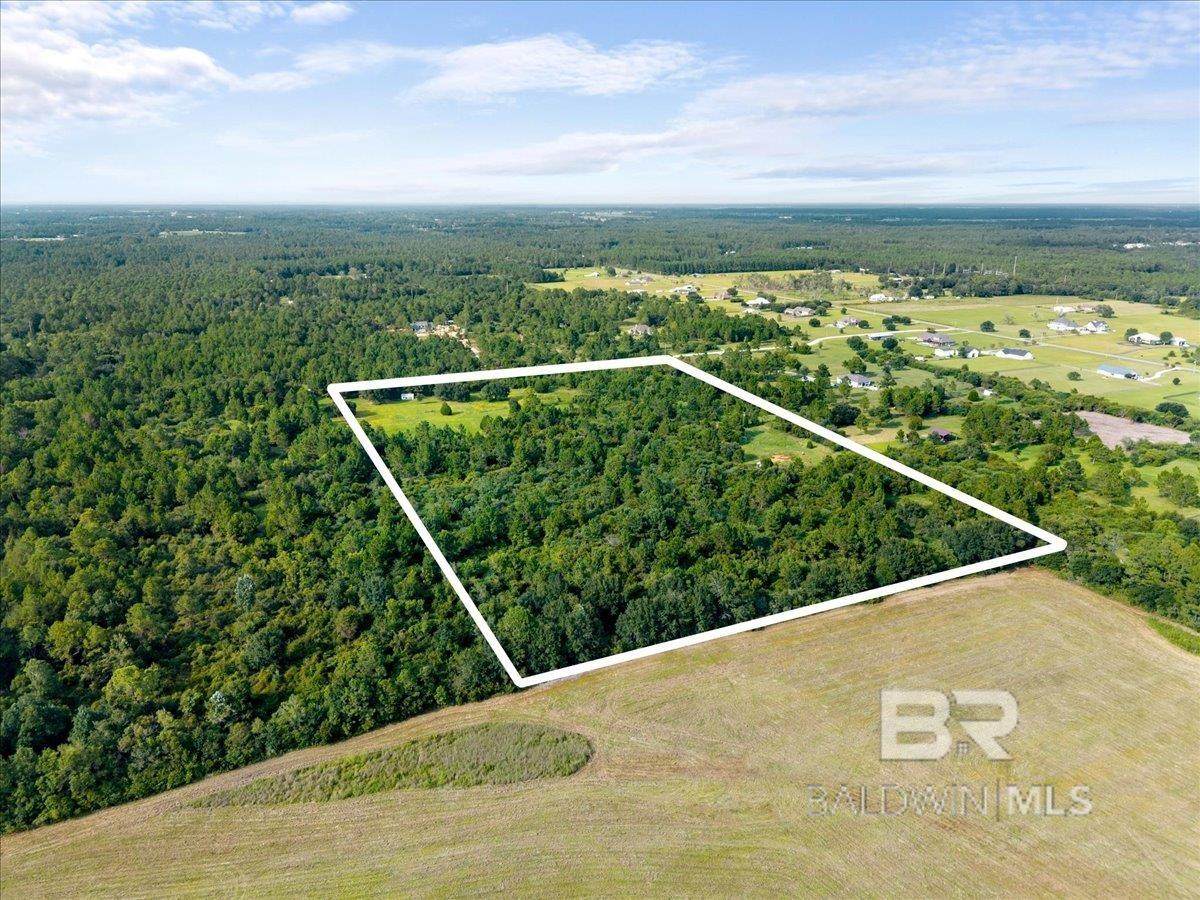26242 Eagle Trace - Photo 1