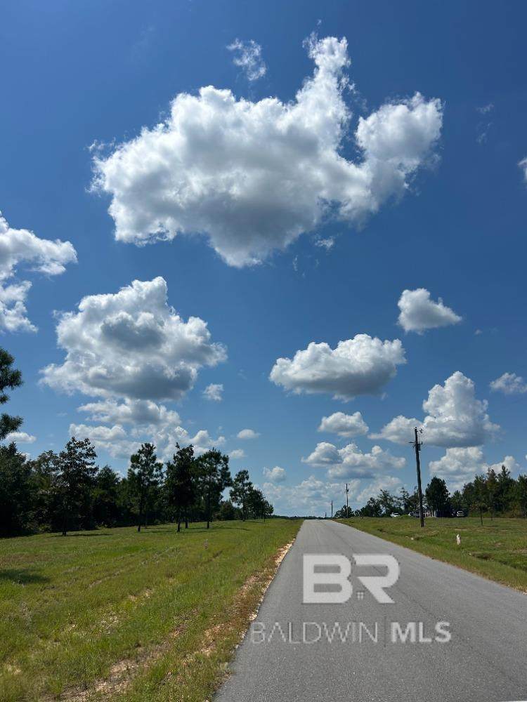 0 Old Highway 31 - Photo 1
