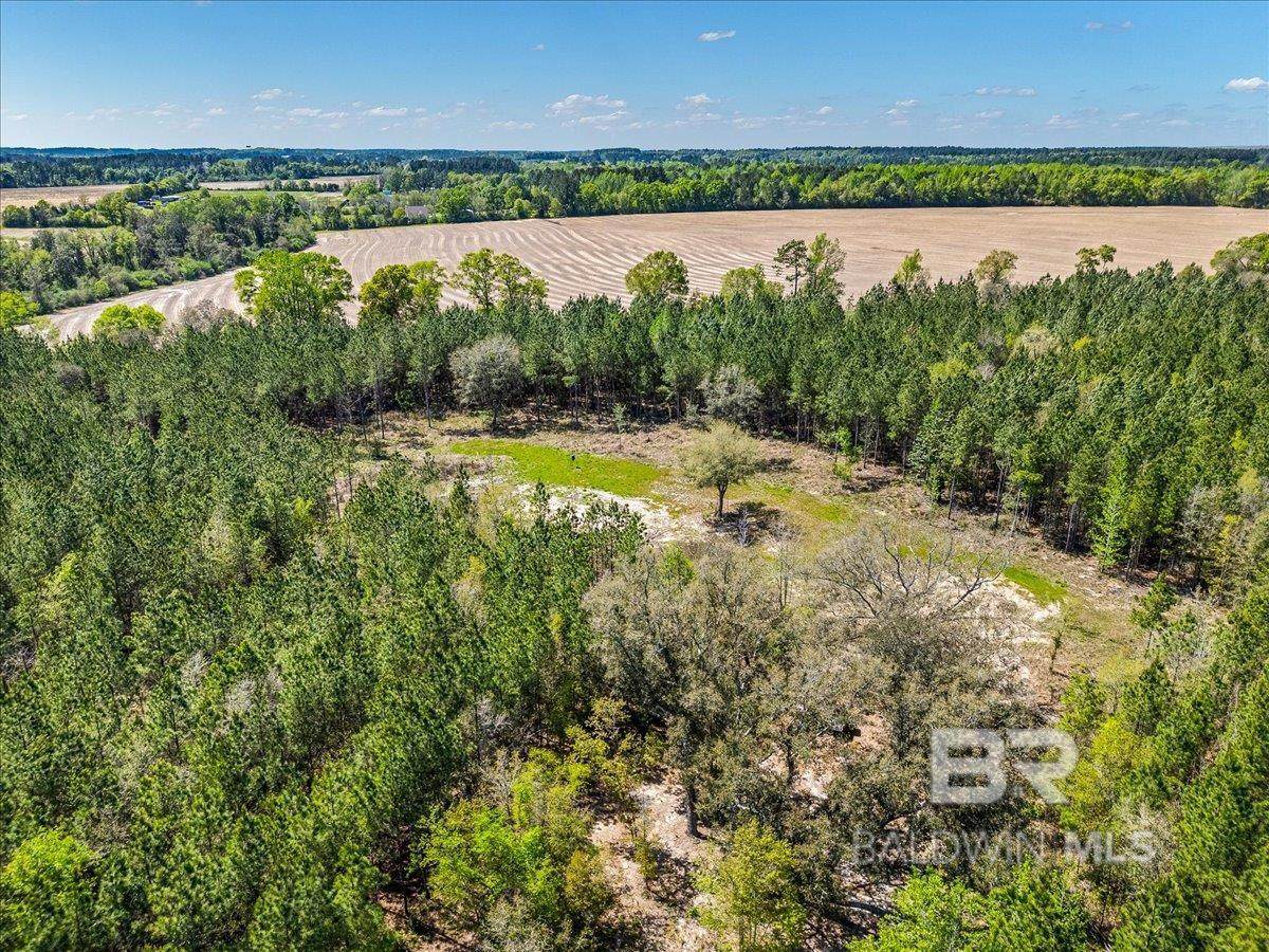 22544 Lechner Road - Photo 1
