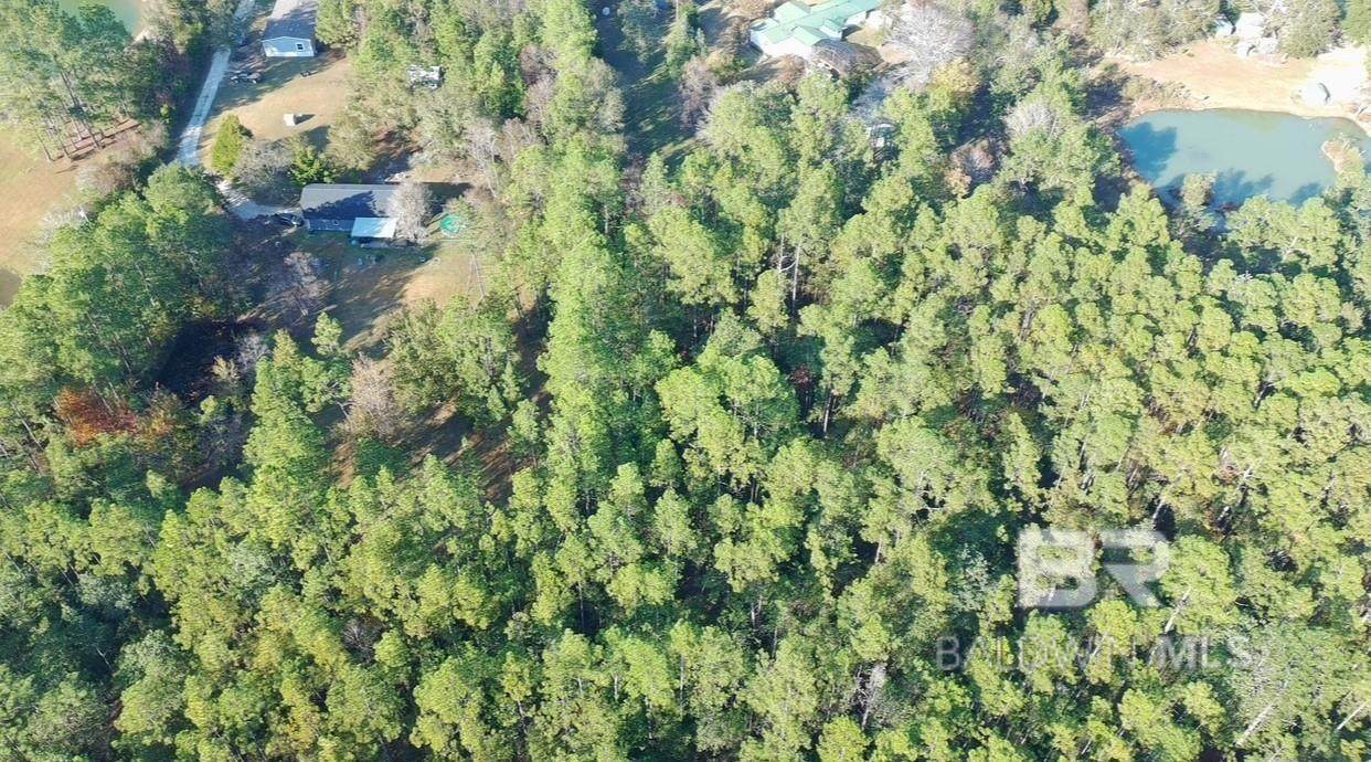 0 Patterson Road - Photo 1