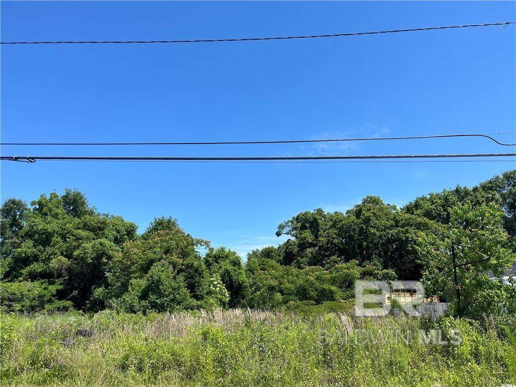 771 Holcombe Avenue - Photo 1