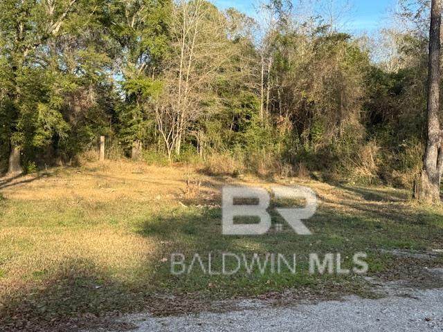 27143 Border Drive - Photo 1