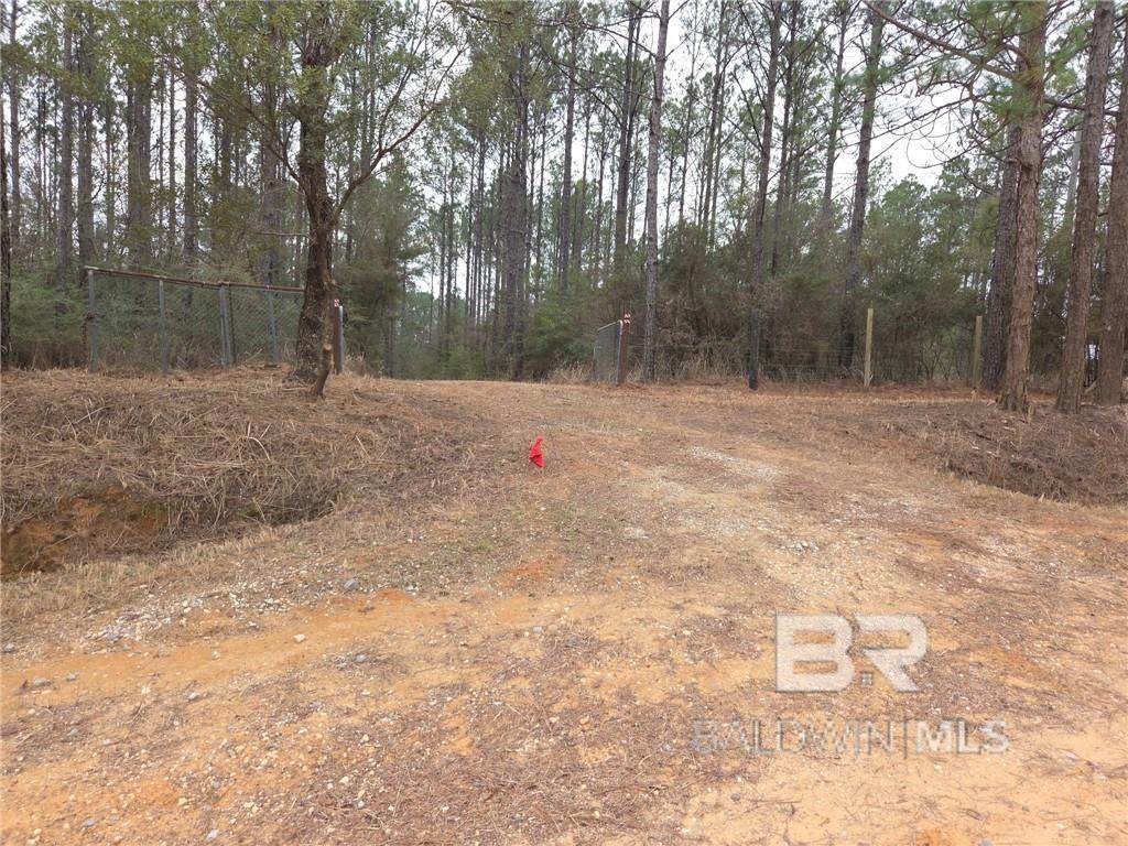0 Chunchula Landfill Road - Photo 1