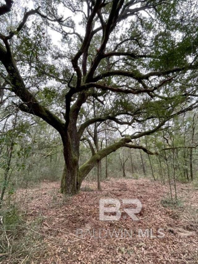 9847 County Road 99 - Photo 1